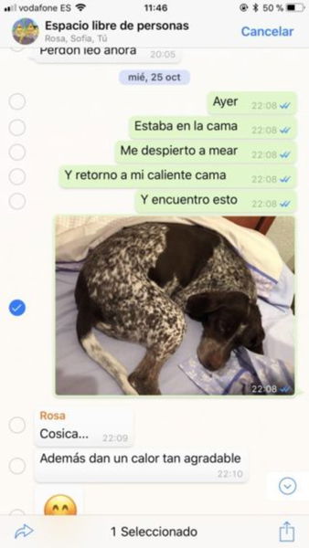 Cómo enviar vídeos grandes en WhatsApp rápido y sin gastar megas