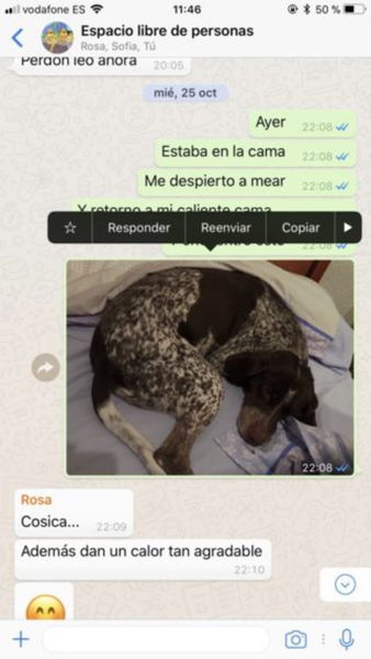 Cómo enviar vídeos grandes en WhatsApp rápido y sin gastar megas