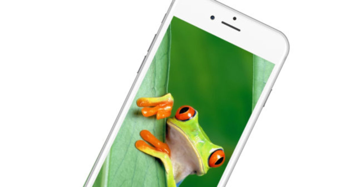 10 bonitos fons de pantalla d'animals per al teu iPhone