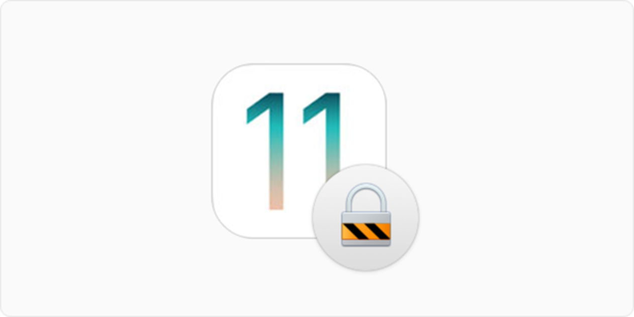 12 importantes consejos de seguridad de iOS 11