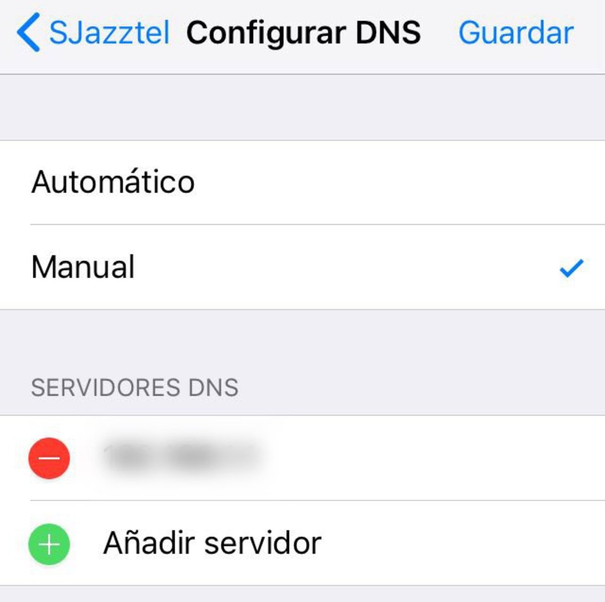 Configuración manual DNS en iOS