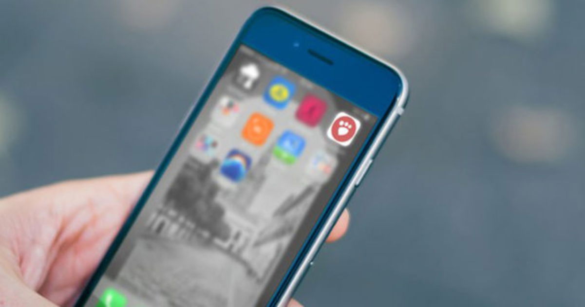 La mejor app para convertir cualquier foto al formato y resolución que quieras
