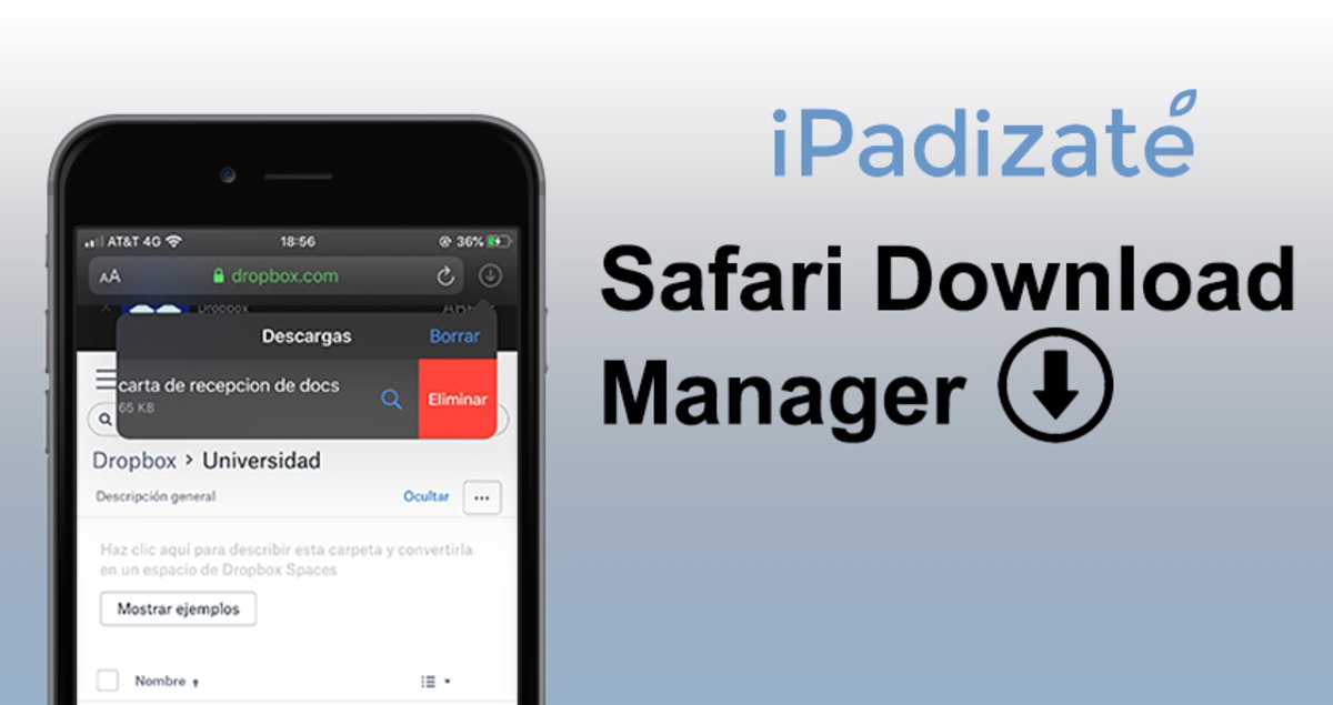 Gestor de descargas Safari