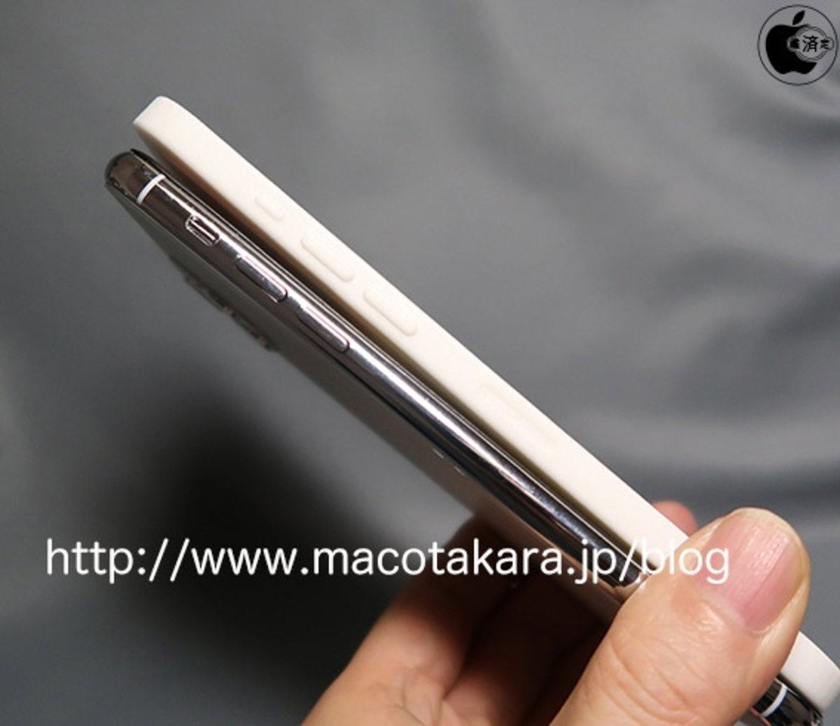 Rumor iPhone 12 tamaño