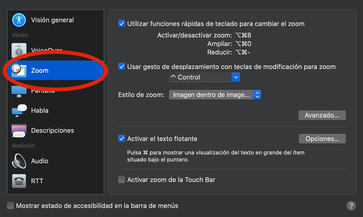 Accesibilidad Zoom