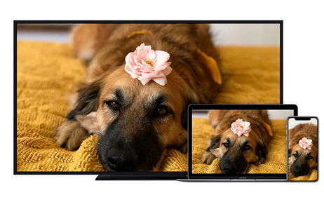 Cómo duplicar la pantalla del iPhone en la televisión con Chromecast Cómo duplicar la pantalla del iPhone en la televisión con Chromecast