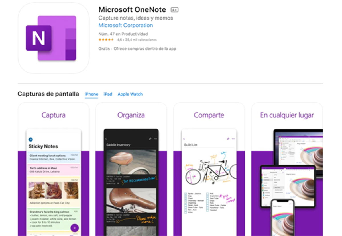 Microsoft OneNote