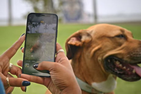 Apple te explica cómo puedes tomar mejores fotos de mascotas con el iPhone