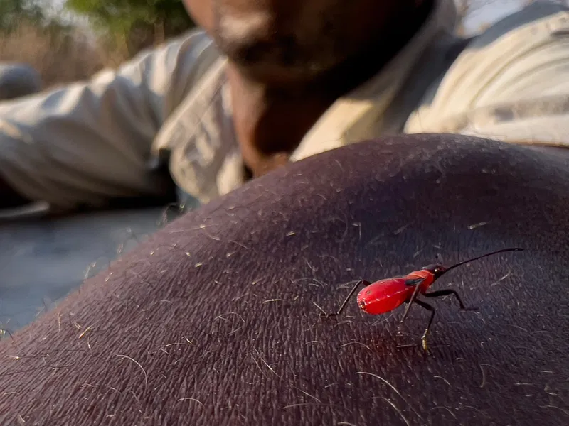 Fotos tomadas con la cámara del iPhone 13 Pro