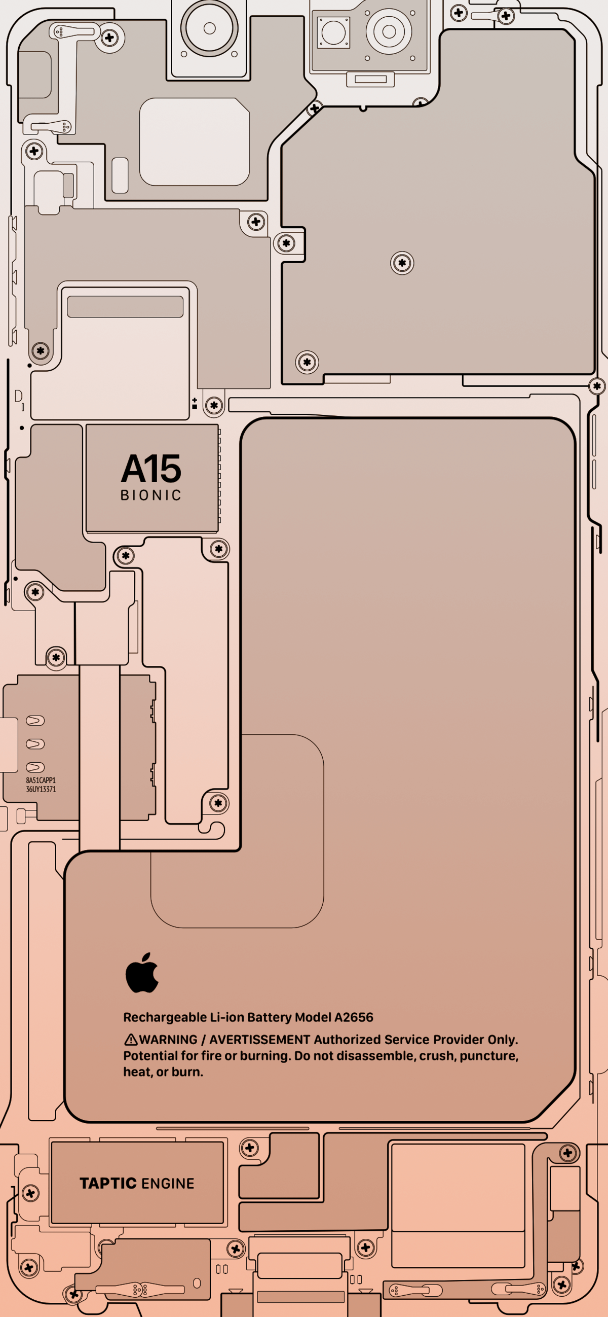 IPhone 13 Diagram Background