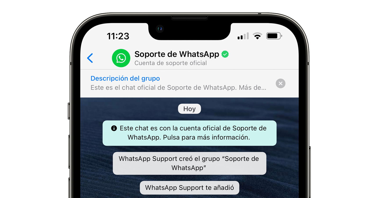 Chat soporte WhatsApp