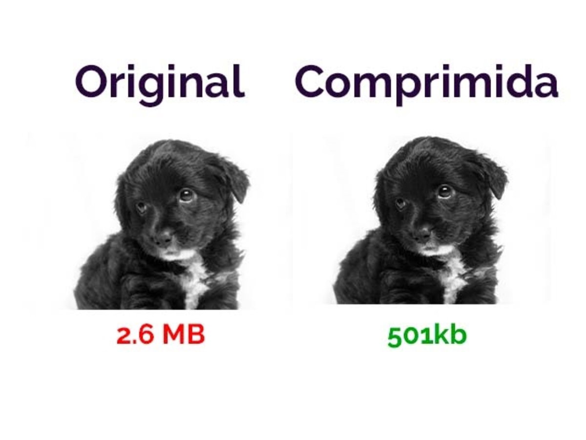 Dos fotos de un perro comprimida en Mac