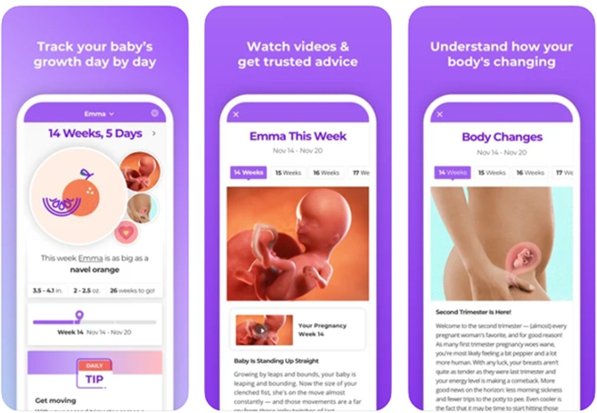Pregnancy & Baby Tracker WTE: salud del embarazo