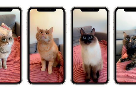 Cómo usar el filtro de los ojos para perros y gatos en tu iPhone Cómo usar el filtro de los ojos para perros y gatos en tu iPhone