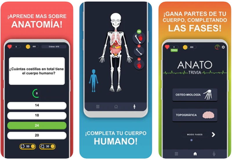 Best apps to learn anatomy from iPhone Gearrice