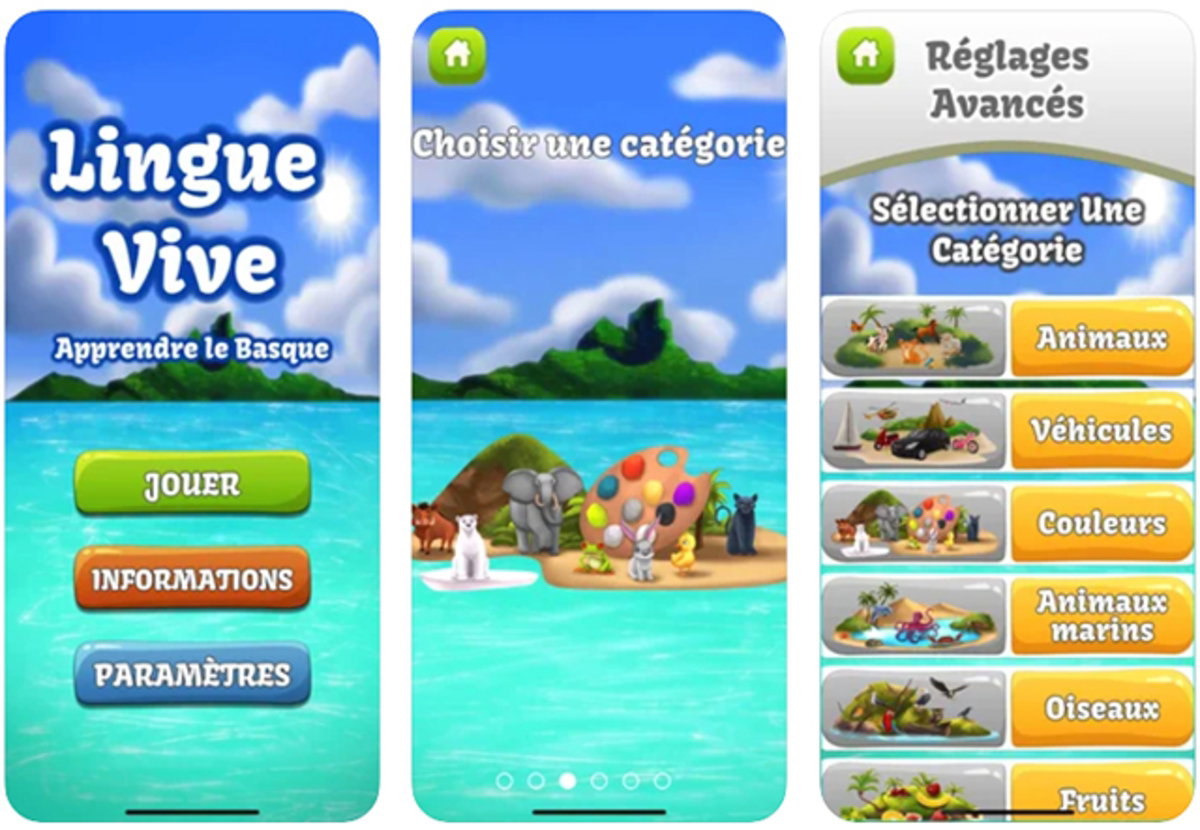 ‎Lingue Vive: llengua basca, francès i anglès