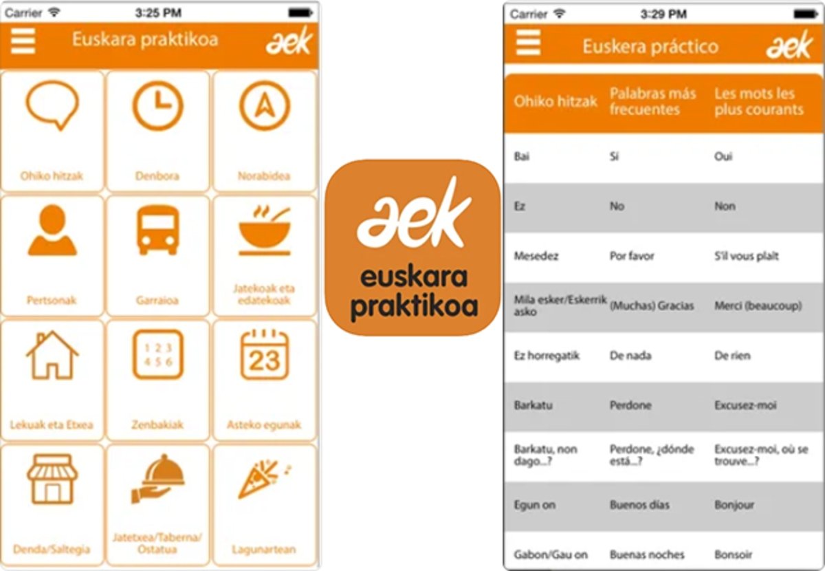 AEK euskara praktikoa: palabras y expresiones nativas de la lengua vasca