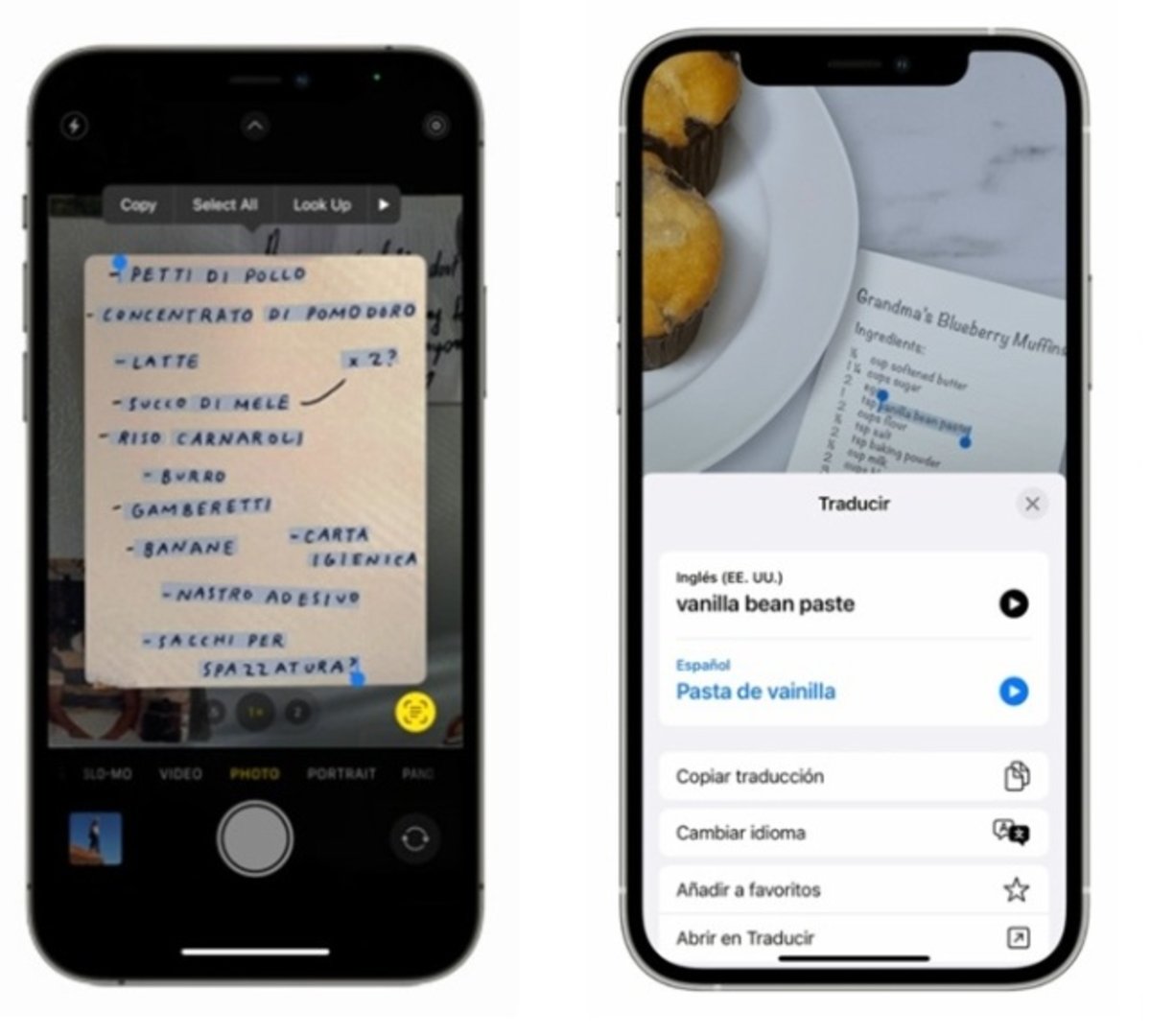 Con tu iPhone SE 3 puedes copiar texto desde imagenes con Texto en Vivo