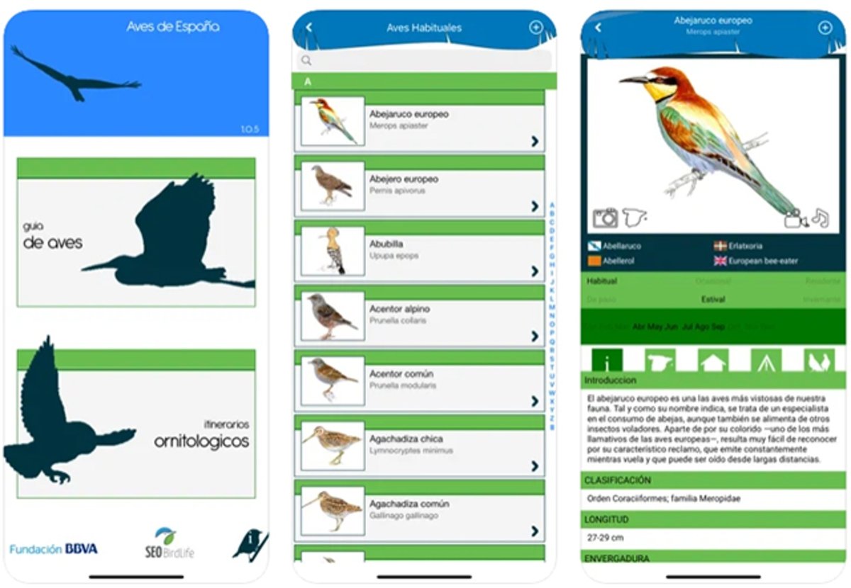Mejores apps para identificar aves desde iPhone