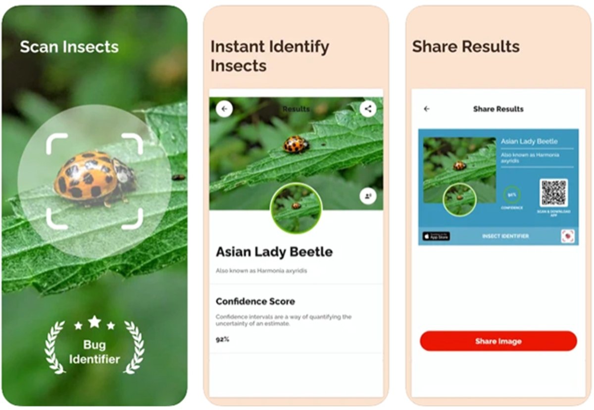 Insect Identifier: escaneo de insectos instantáneo