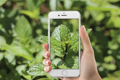 Mejores apps para identificar plantas medicinales desde iPhone