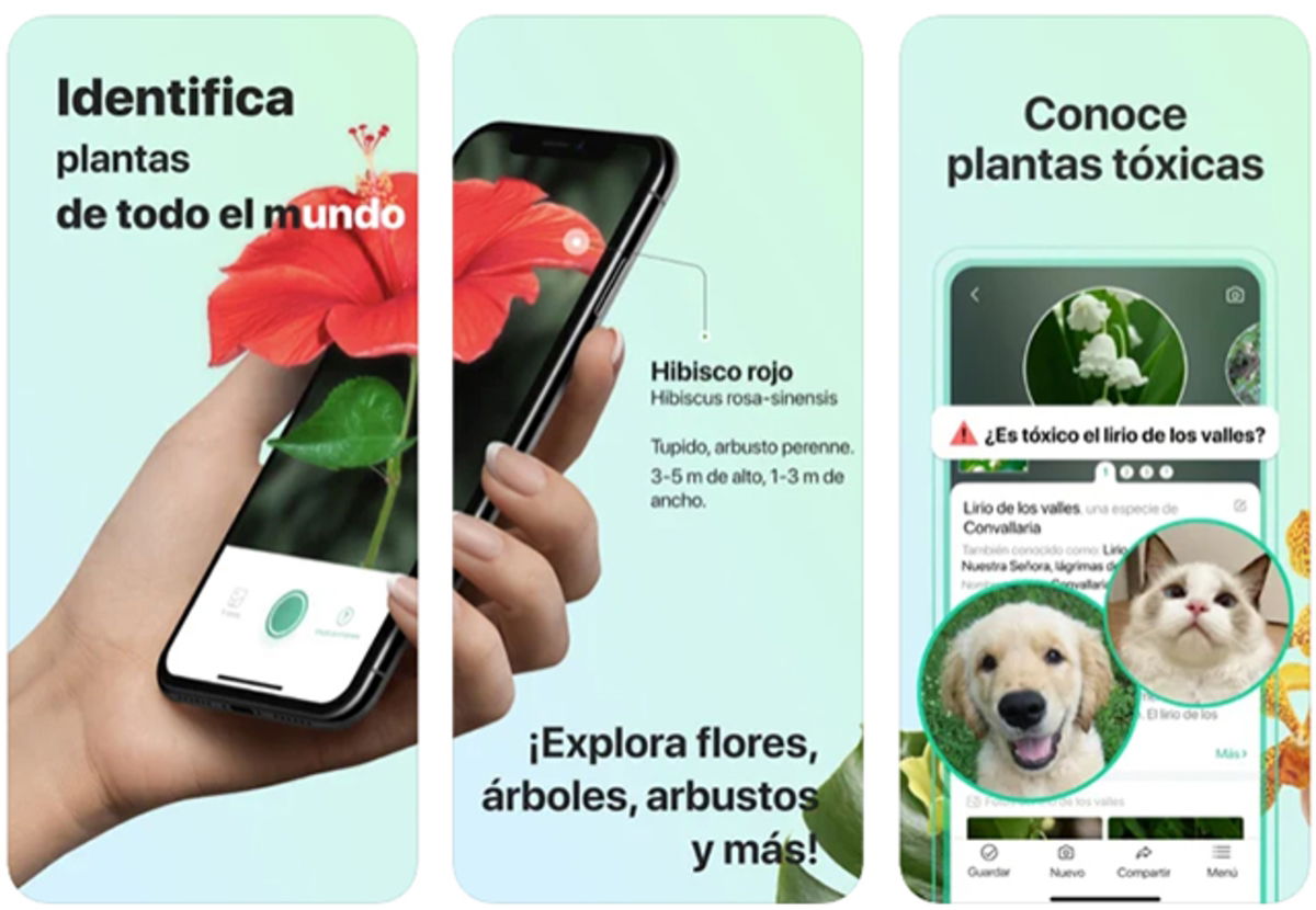 Best apps for plant care for iPhone Gadgetonus