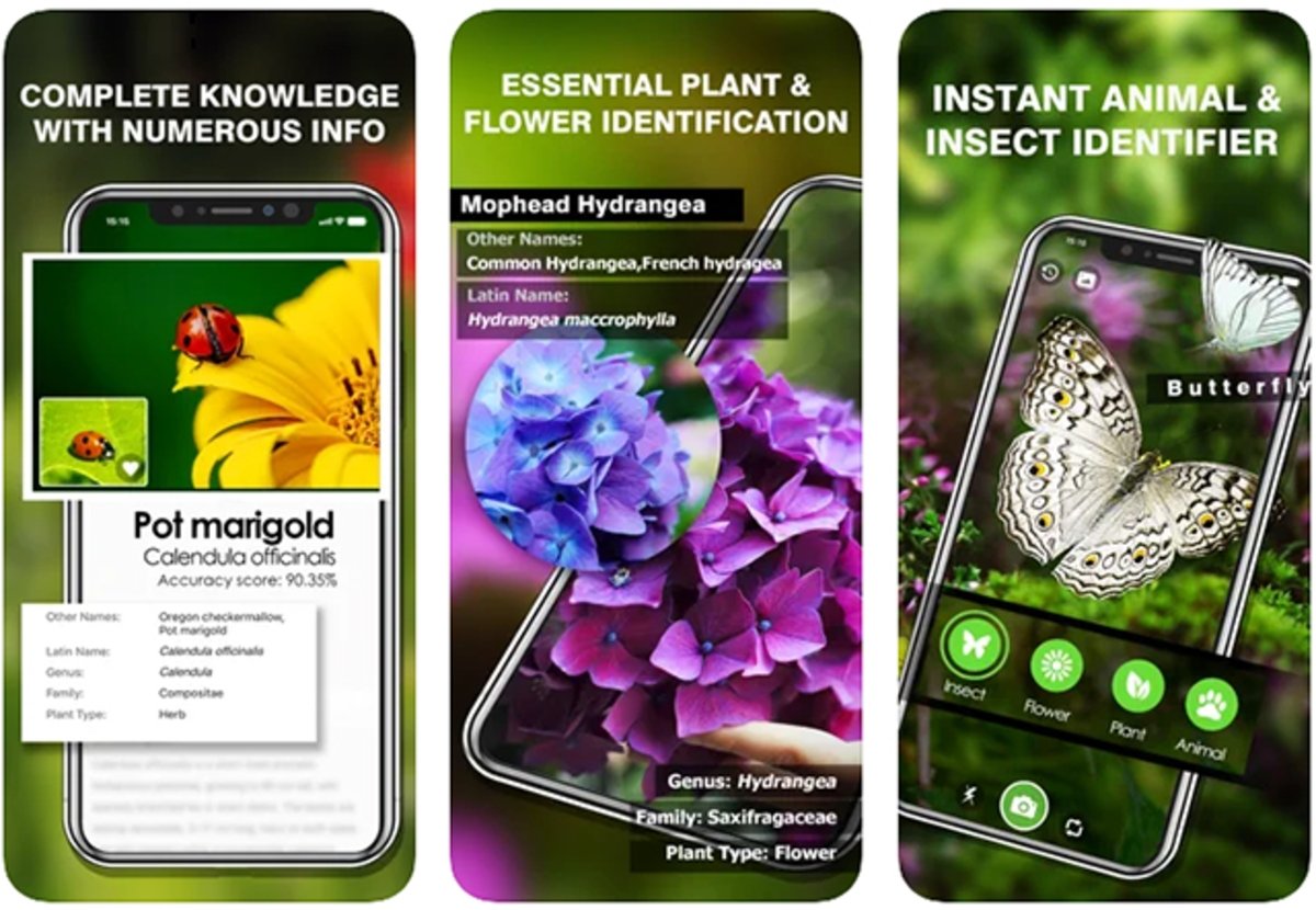 Smart Identifier: identifica plantas e insectos con esta app