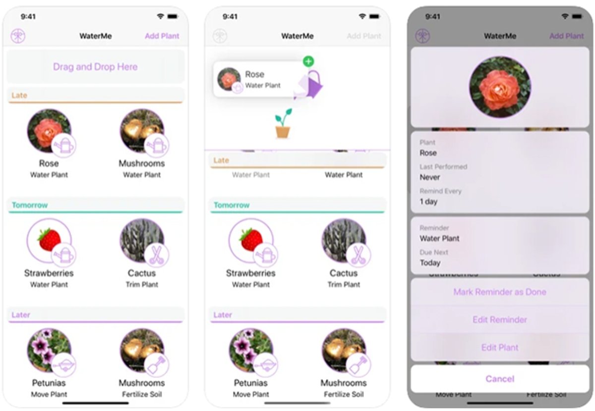 WaterMe: registra las plantas que tengas a tu cuidado con esta app móvil