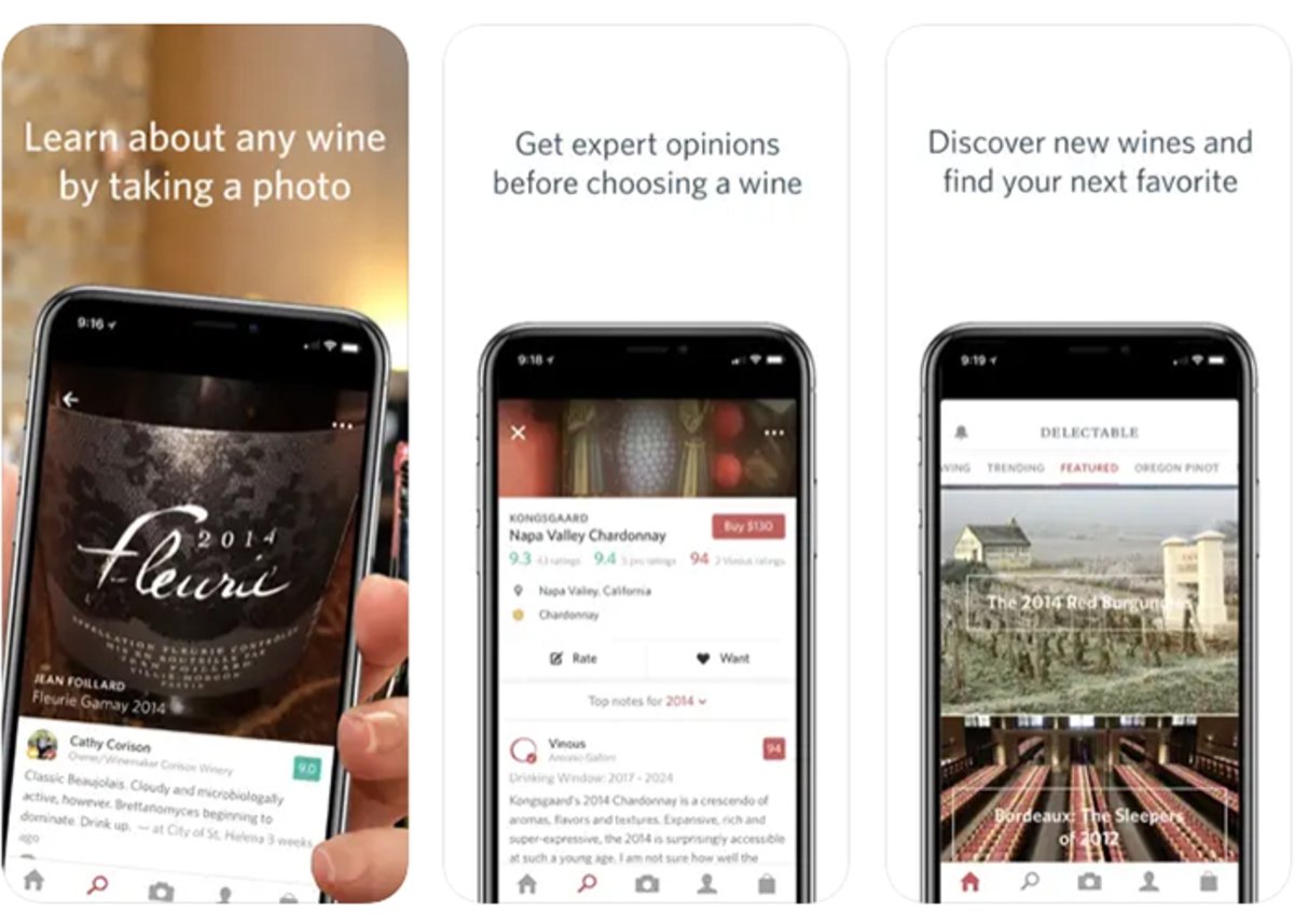 App vin. Приложение для проверки вина. Приложения для выбора вина. Вайнд приложенте. Вайн приложение.