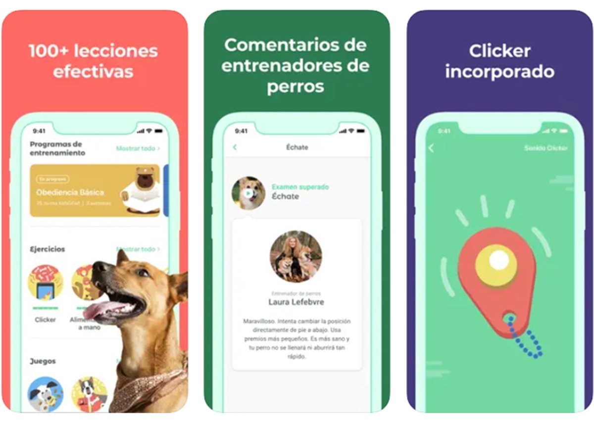 Dogo: la app perfecta para entrenar a tu perro