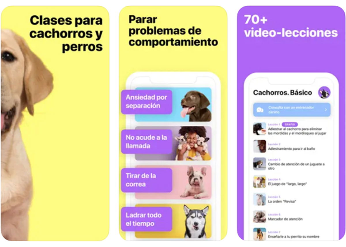 Best dog training apps for iPhone GEARRICE