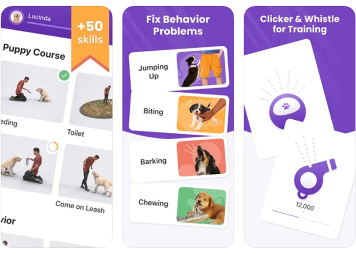 Best dog training apps for iPhone GEARRICE