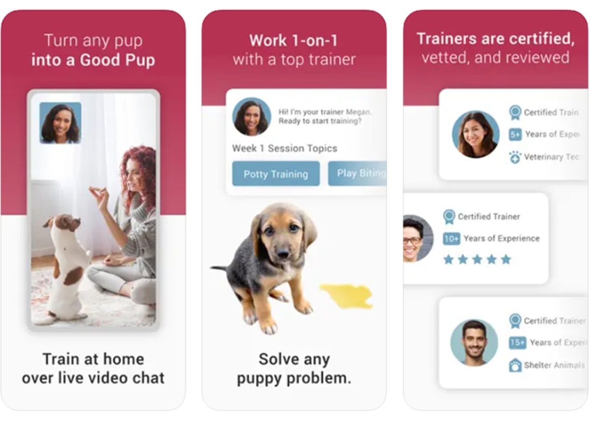 GoodPup: serie de tareas diarias para adiestrar a tu mascota