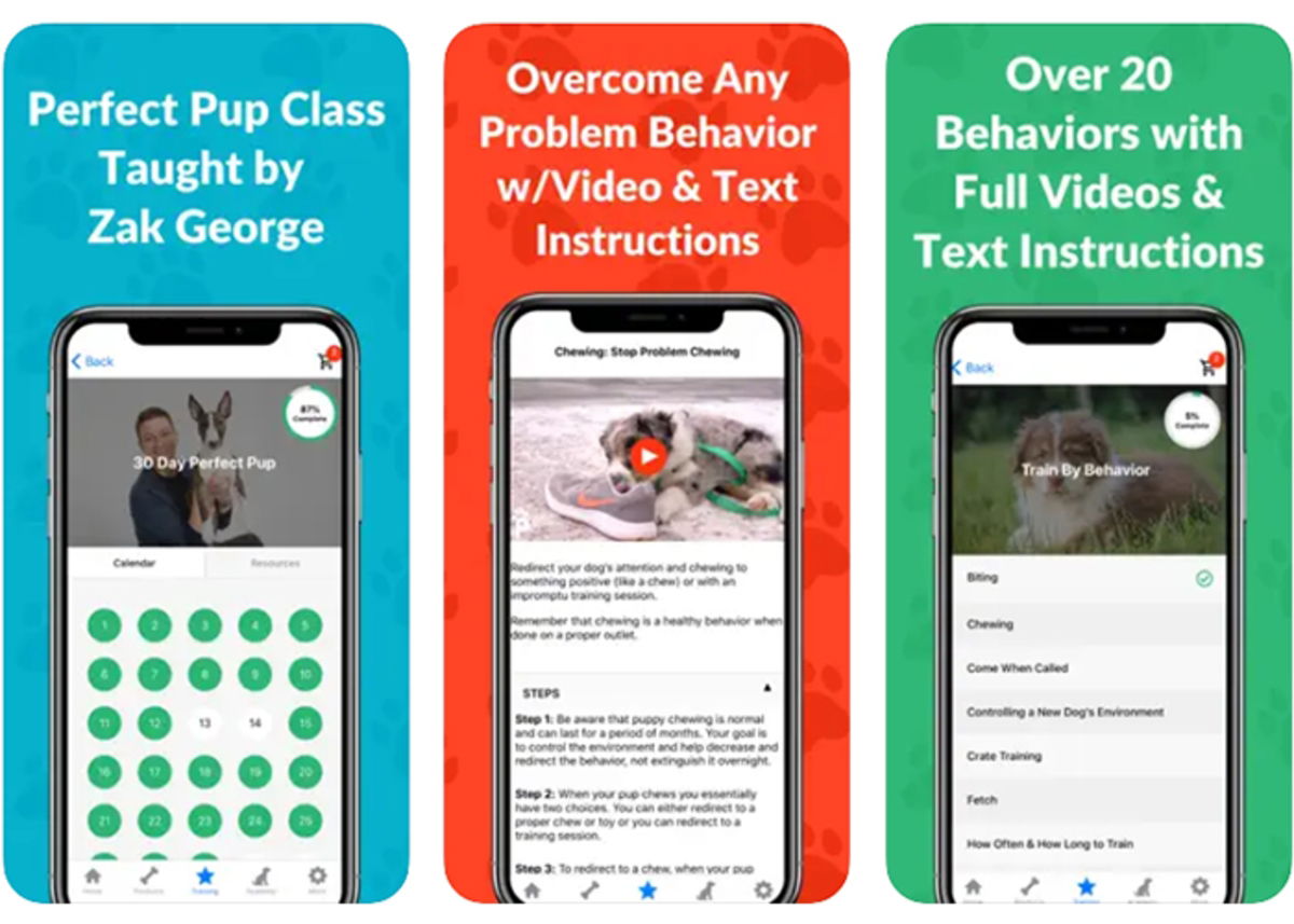 Best dog training apps for iPhone GEARRICE