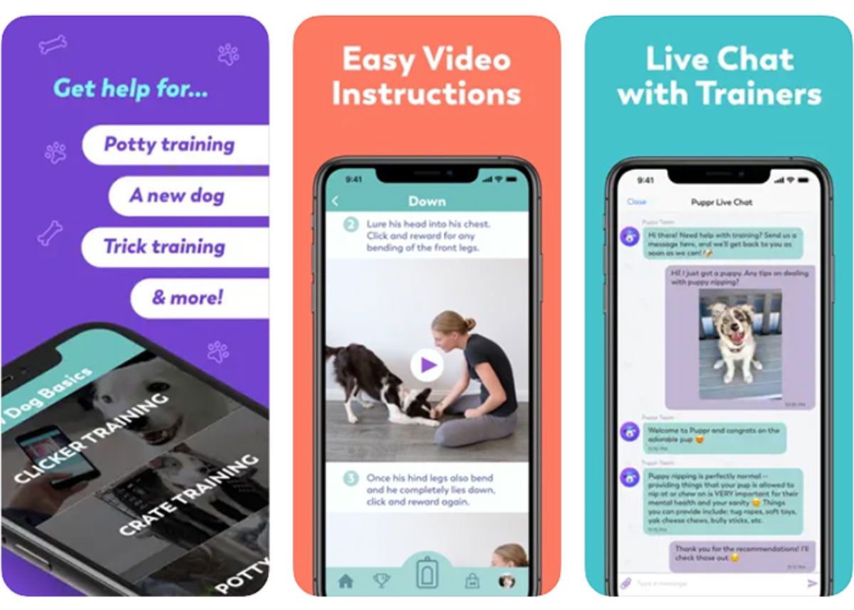 Best dog training apps for iPhone GEARRICE