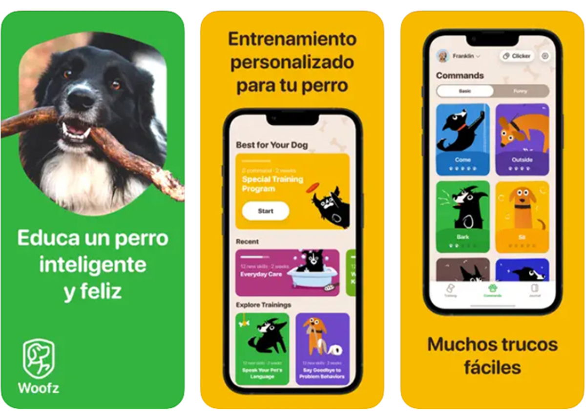 Best dog training apps for iPhone GEARRICE