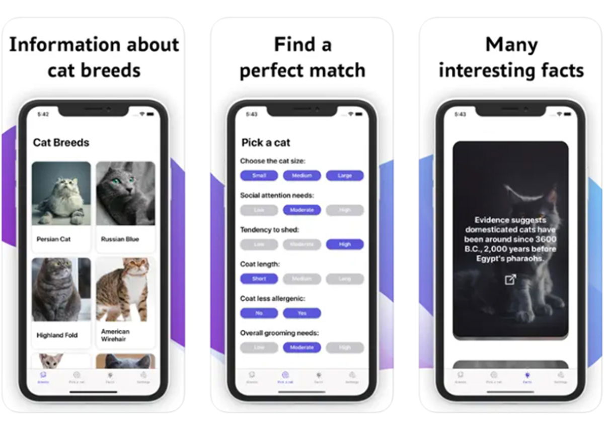 7 Cat Breed Identification Apps Available for iPhone | Gadgetonus