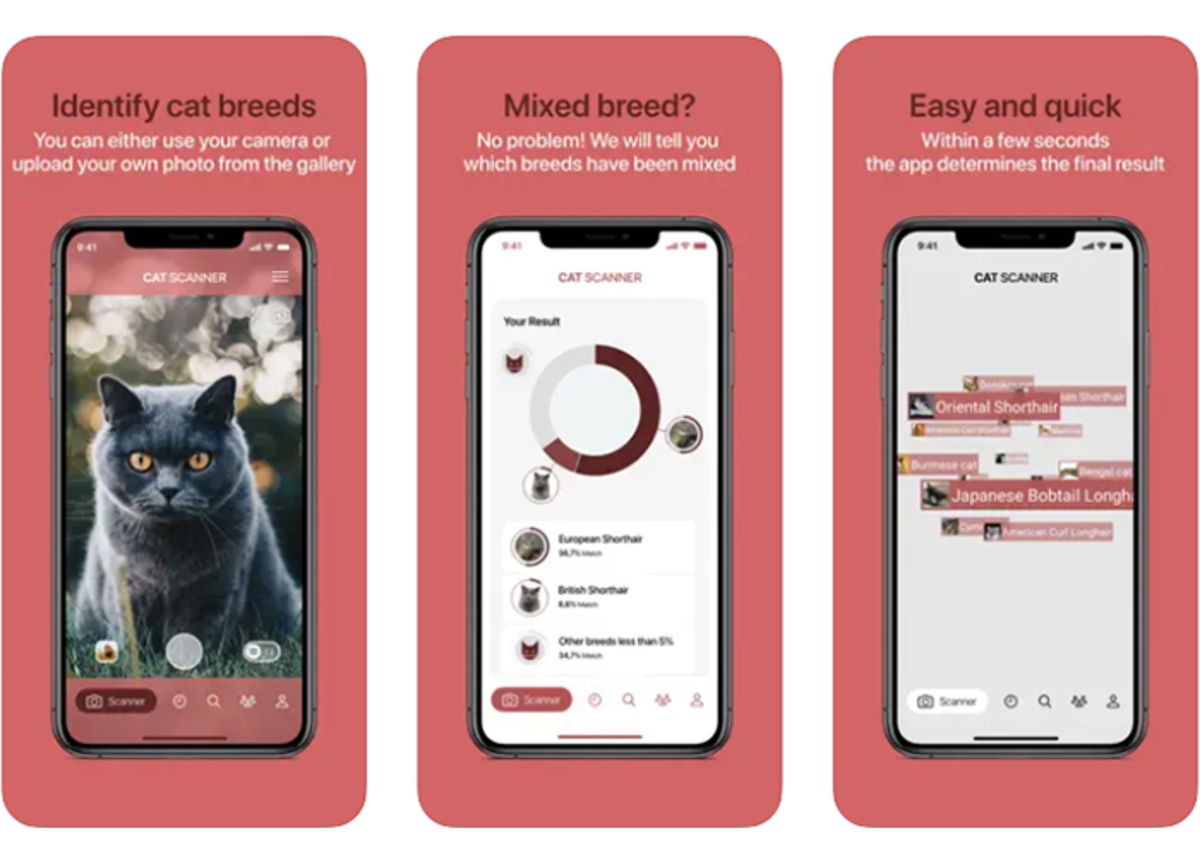 7 Cat Breed Identification Apps Available for iPhone Gadgetonus