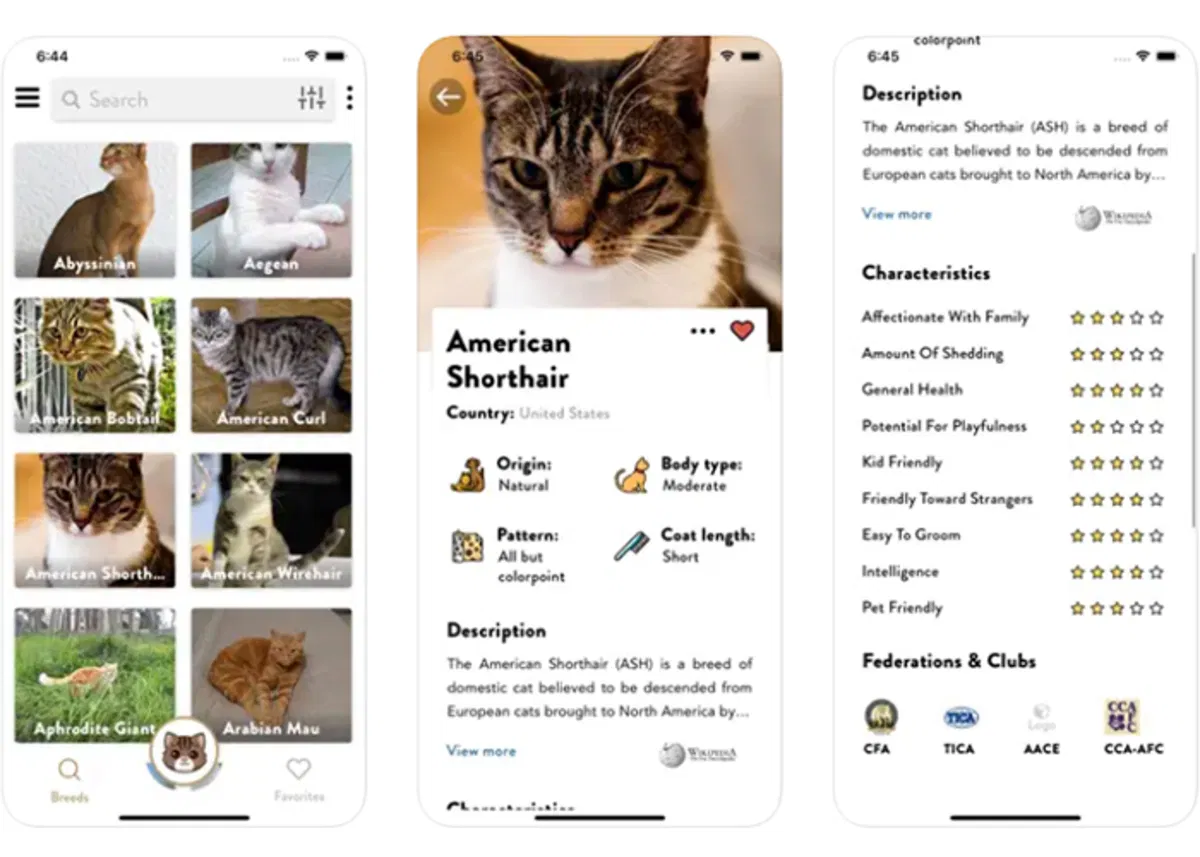 7 Cat Breed Identification Apps Available For Iphone Gadgetonus