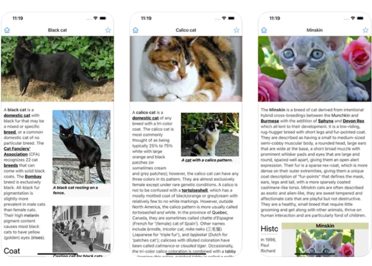 Encyclopedia of Cats: una de las mejores alternativas para saber de gatos