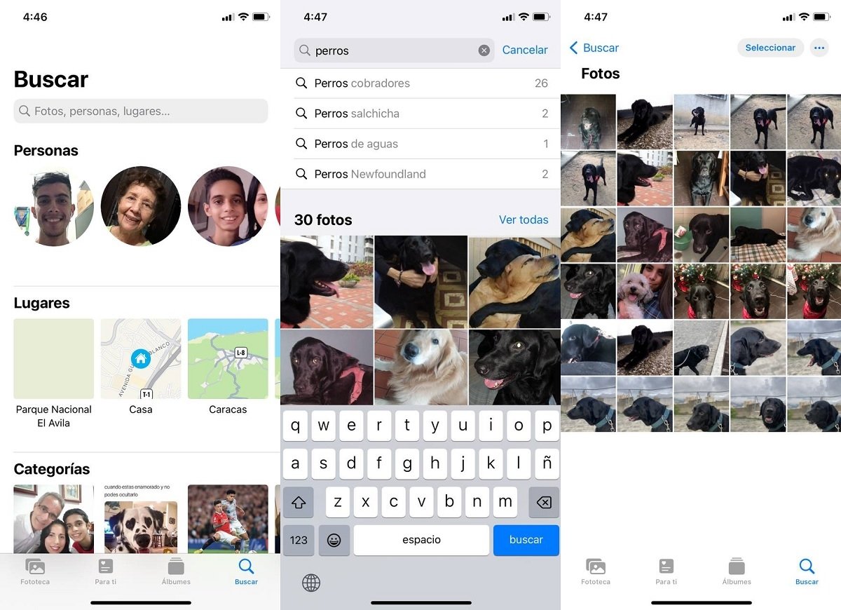Encuentra imagenes en tu iPhone a partir de objetos o animales