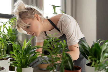 Mejores apps para el cuidado de plantas desde iPhone Mejores apps para el cuidado de plantas desde iPhone