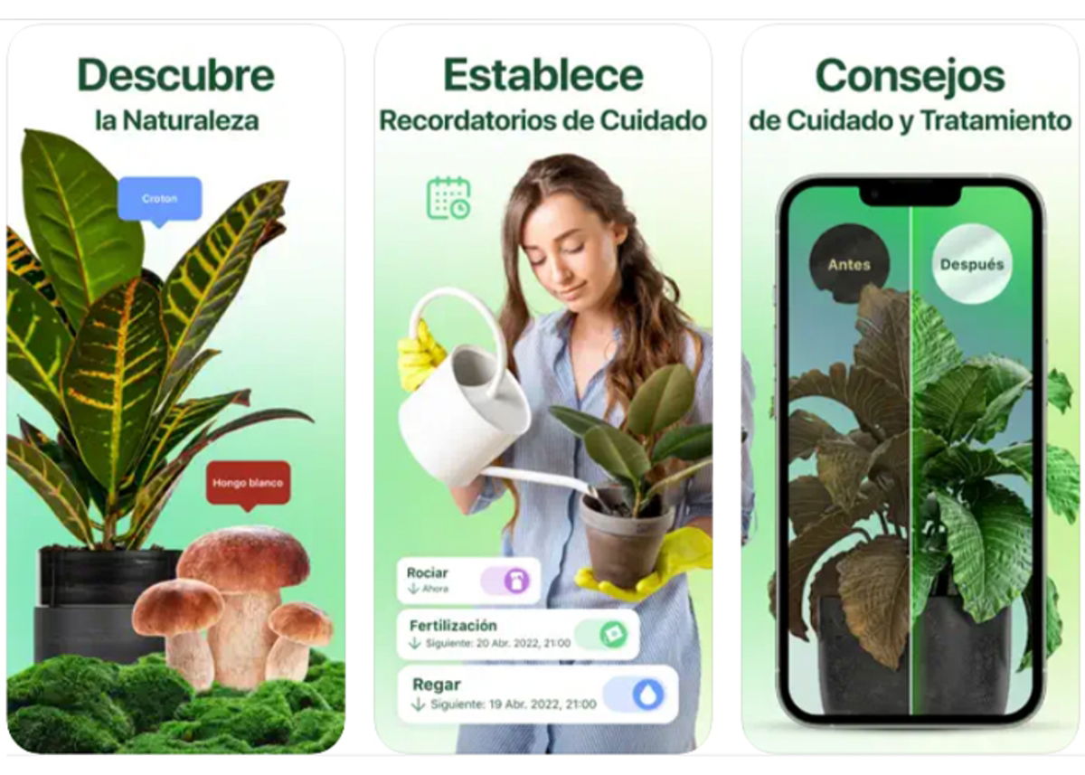 Best apps for plant care for iPhone Gadgetonus