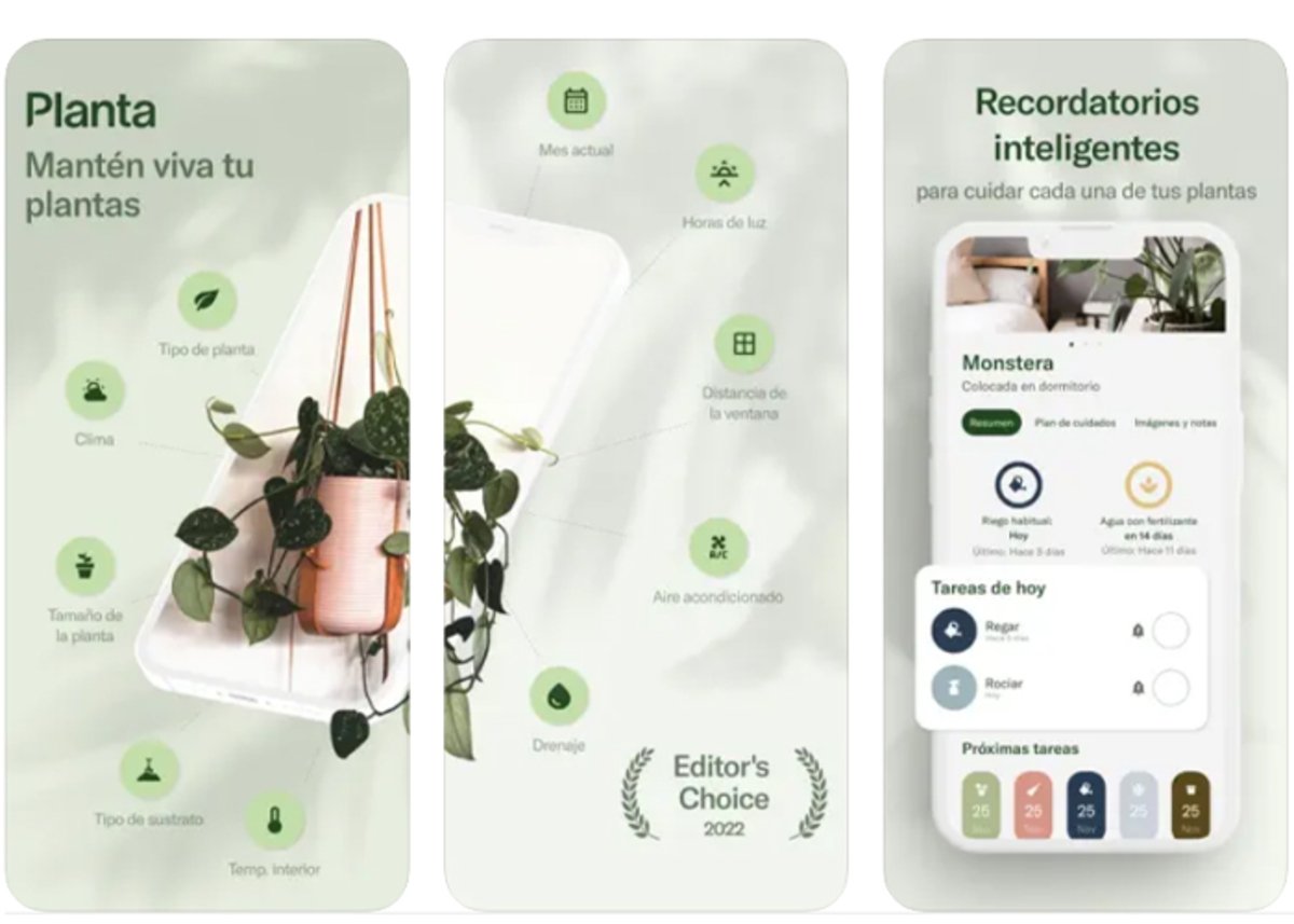 Planta: una app con recordatorios inteligentes para el cuidado de tu planta