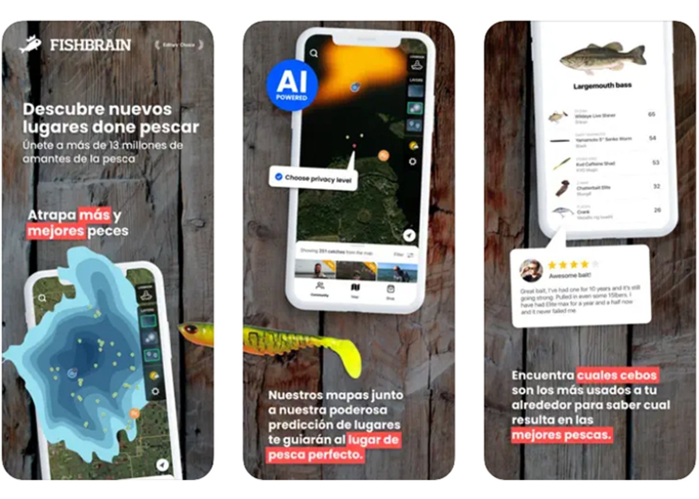Sumergete en la emocion: La app Fishbrain te lleva a una aventura acuatica sin igual