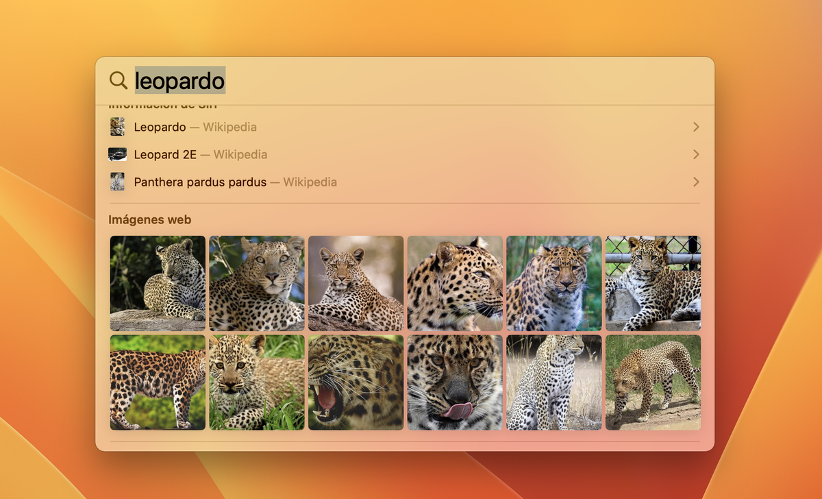 5 cool shortcut tricks for the macOS Ventura keyboard iGamesNews