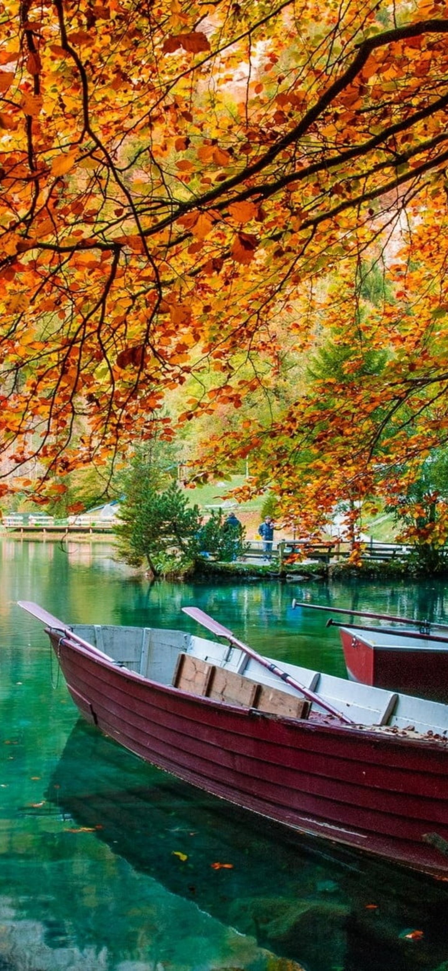 Fondo de pantalla de barco en el agua en el otoño