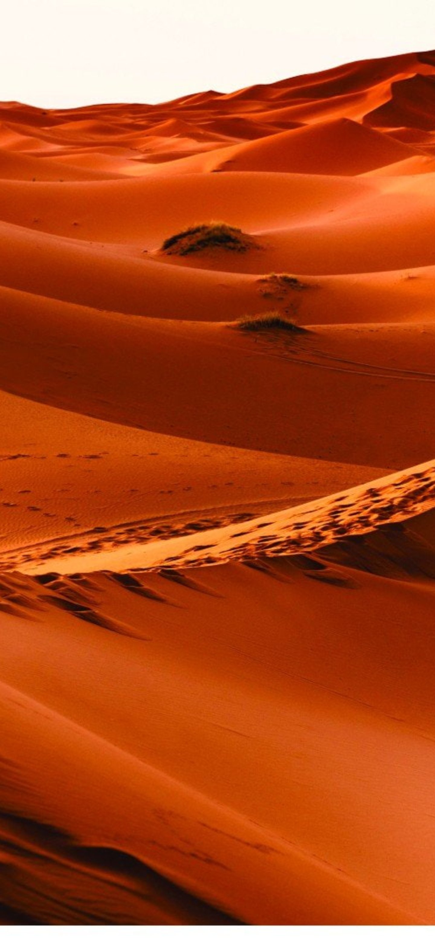 Fondos de pantalla de dunas rojizo