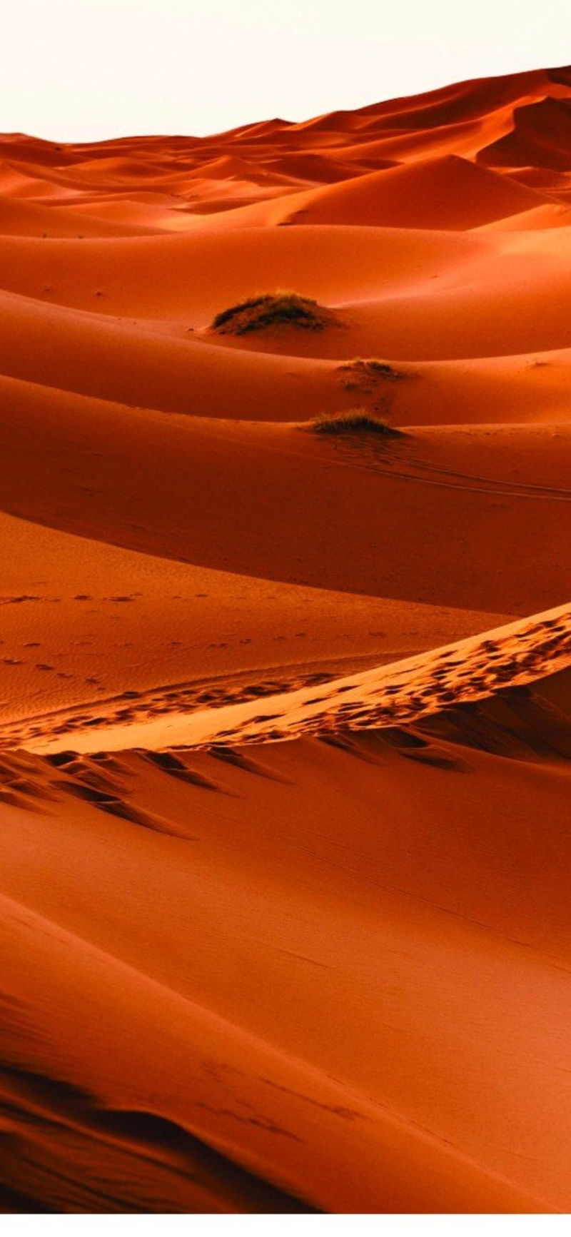 Best dune wallpapers for iPhone - GEARRICE