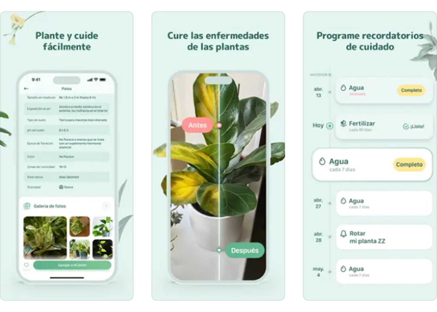 Blossom: tu guía experta para el cuidado de plantas